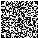 QR code with Pulmarco LLC contacts