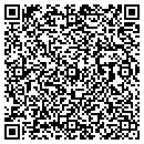QR code with Proforze Inc contacts
