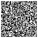 QR code with Cynergy Data contacts