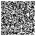 QR code with Aig contacts