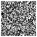 QR code with Caribbean Vibes contacts