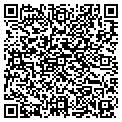 QR code with Storks contacts