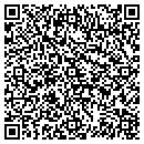 QR code with Pretzel Logic contacts