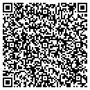QR code with Pretzel Time contacts