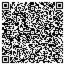 QR code with Camille's Juice Bar contacts