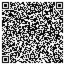 QR code with Cynergreen LLC contacts