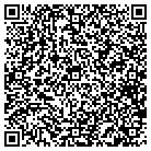 QR code with City Of Pleasant Plains contacts