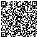 QR code with V Spice Inc contacts