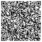 QR code with Pulestasi Capital Inc contacts