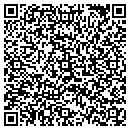 QR code with Punto Y Coma contacts