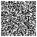 QR code with Pratt Global contacts