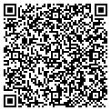 QR code with Mitoodle Noodle LLC contacts