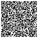 QR code with Bn Delfi Usa Inc contacts