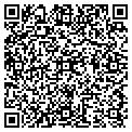 QR code with New View LLC contacts