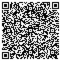 QR code with Window Dressing contacts