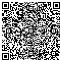 QR code with Niche contacts
