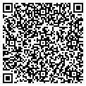 QR code with Windsor contacts