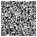 QR code with Psp Usa LLC contacts