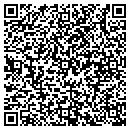 QR code with Psg Systems contacts