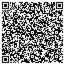 QR code with Custom Connection Inc contacts