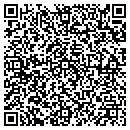 QR code with Pulseworks LLC contacts