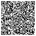 QR code with Willow contacts
