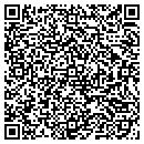 QR code with Productions Basics contacts