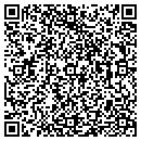 QR code with Process Pipe contacts