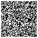 QR code with Cubicon Corporation contacts