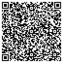 QR code with Public Health Nurse contacts