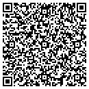 QR code with Central New York Dso contacts