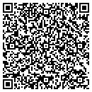 QR code with City Of Rochester contacts