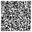 QR code with V-Gay contacts
