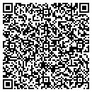 QR code with Public Works Building contacts