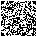 QR code with Clinton W Grugel LLC contacts