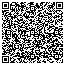 QR code with County Of Pulaski contacts