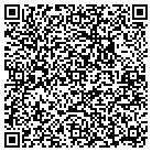 QR code with Pulaski Village Office contacts
