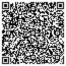 QR code with Public Safety Arizona contacts