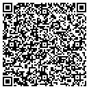 QR code with Public Service Board contacts