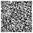 QR code with City Of Pittsfield contacts