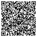 QR code with Mpegla contacts