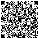 QR code with Pulaski Building Permits contacts