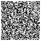 QR code with Public Broadcasting Comm contacts