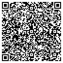 QR code with Public Instruction contacts