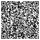 QR code with Pregnancy Coach contacts