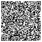 QR code with Pulse Savers, LLC contacts