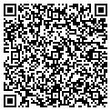 QR code with Vitals contacts