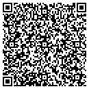 QR code with Project Alto contacts