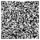 QR code with Professional Formulas contacts