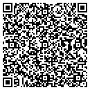 QR code with Proto Script contacts